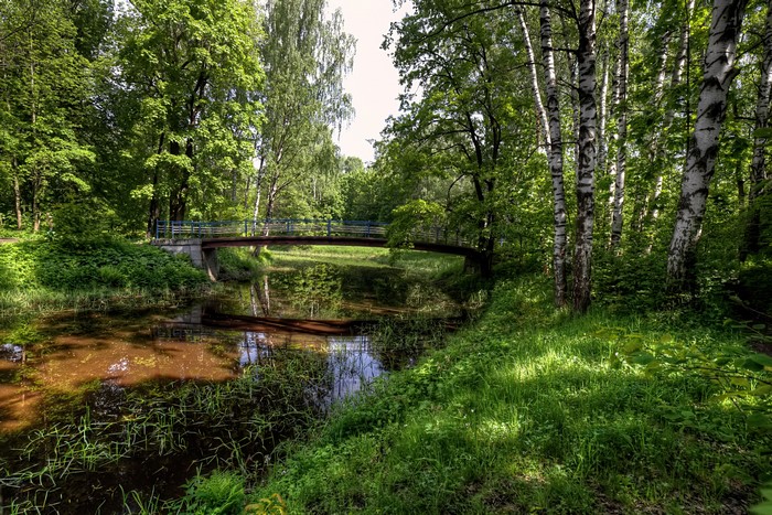 Bridge over a pond in Nevsky Forest Park, St. Petersburg