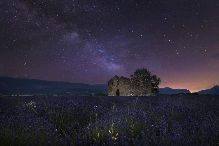 Ruins in Lavender Field under Milky Way Sky
