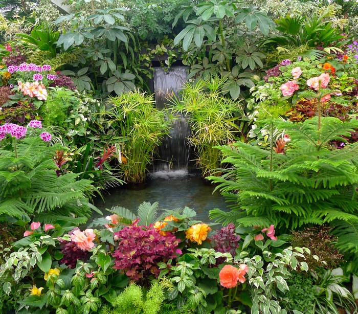 Tropical garden with a waterfall and diverse plants