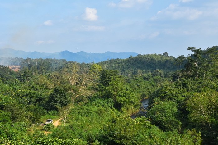 Forest landscape with mountains and a river in Thailand