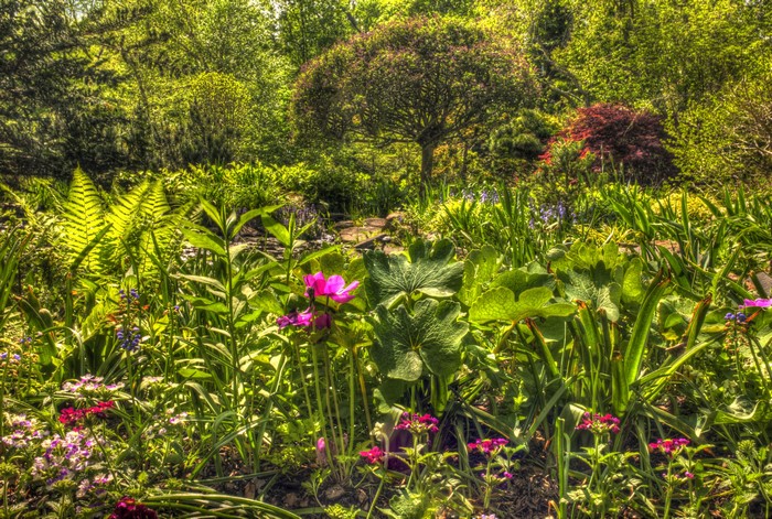 A vibrant garden with blooming flowers and lush greenery