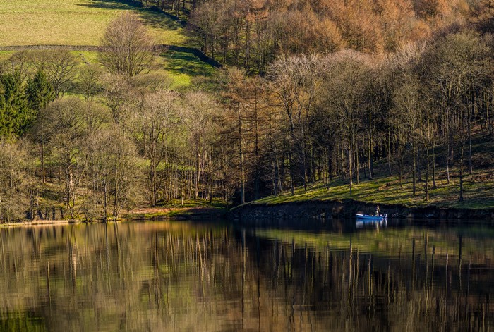 Lake with trees and a person in a boat