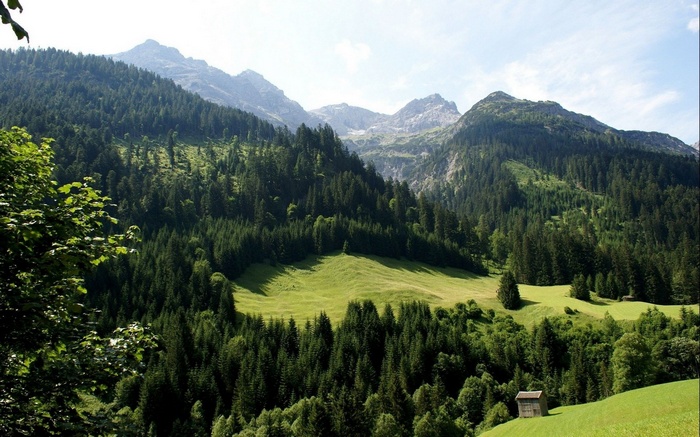 Mountain valley with evergreen forest and meadows