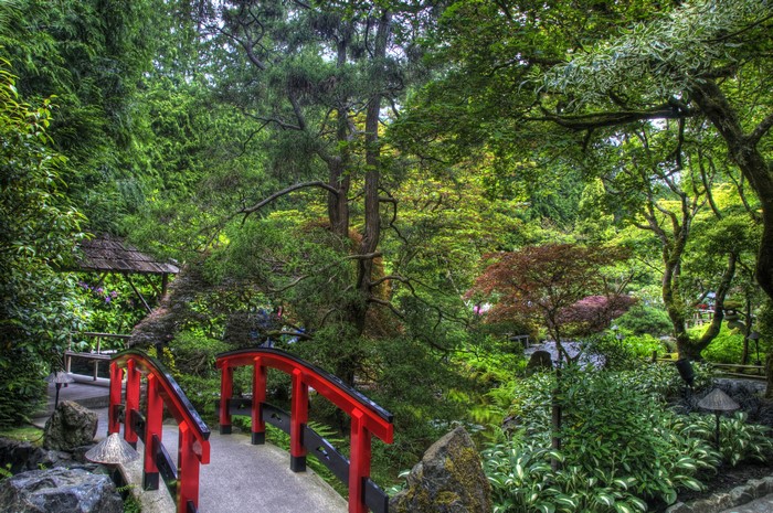 Japanese Garden with Red Bridge and Gazebo