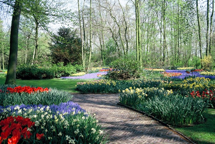 Keukenhof Gardens in the Netherlands during Spring