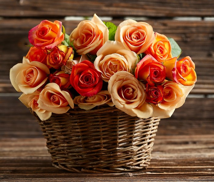 A wicker basket filled with orange and red roses