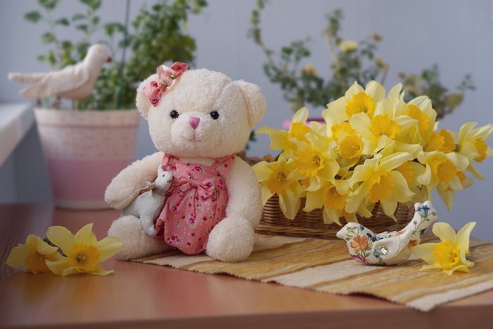 Teddy bear with daffodils and decorative birds
