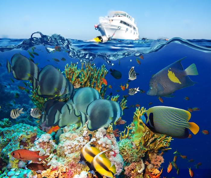 Underwater world with fish, corals, and a yacht