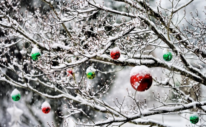Christmas ornaments on snow-covered branches
