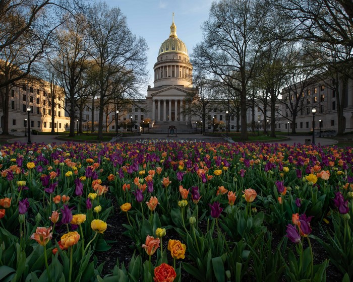 West Virginia State Capitol Building with Tulips