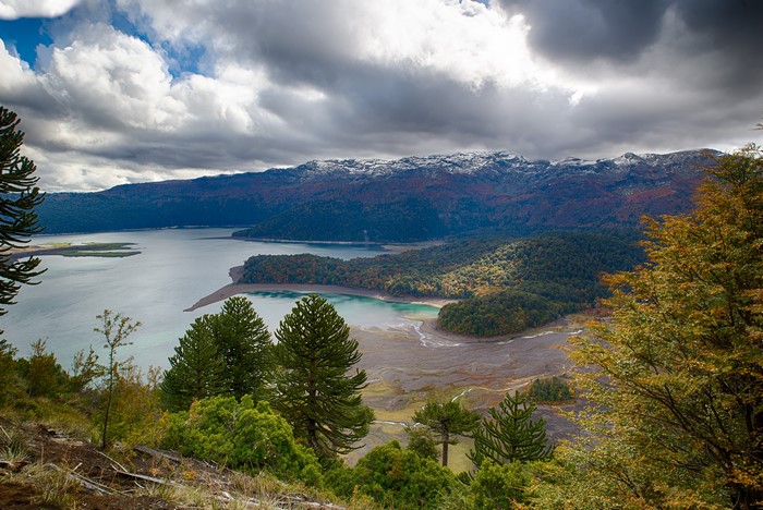 Lake and mountains in Chile with autumn forests
