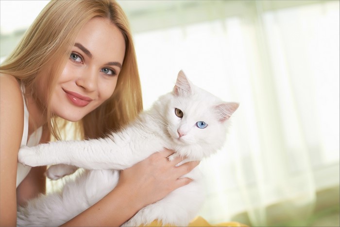 Woman holding a white cat with heterochromia