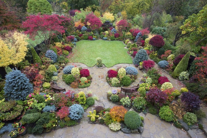 Autumn garden with colorful shrubs and a lawn
