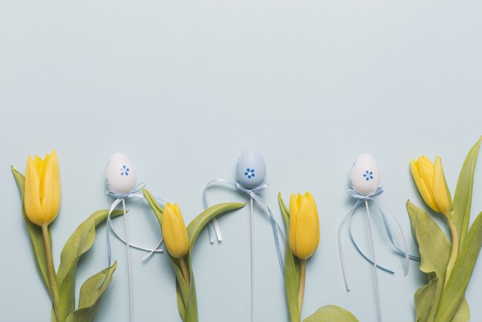 Yellow Tulips and Easter Eggs on Blue Background