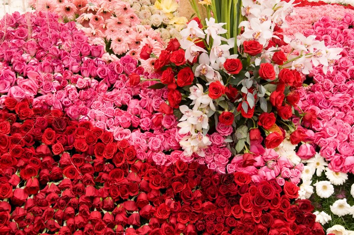 A large arrangement of red, pink, and white roses and orchids