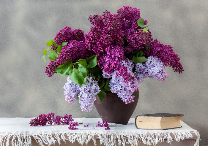 Still-life with Lilac Bouquet and Book