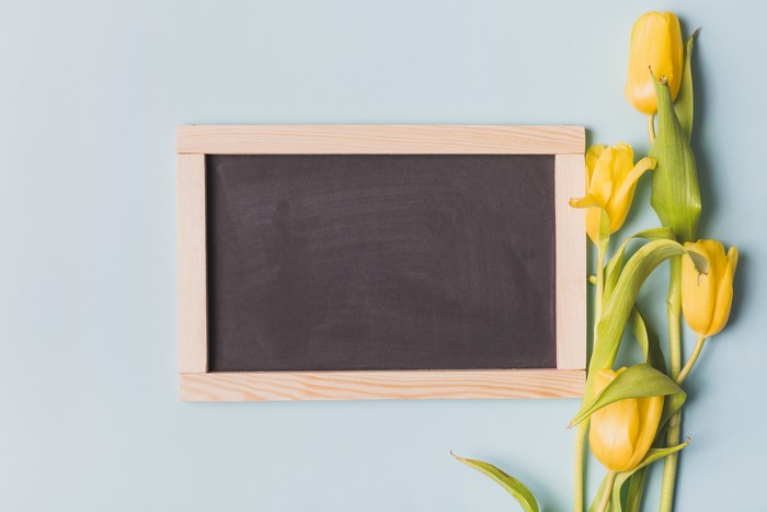 Yellow Tulips and Blackboard on Blue Background