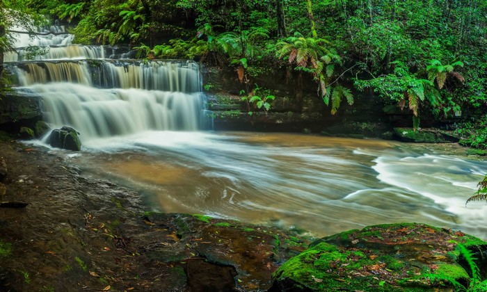 Mossy rocks and cascading waterfalls in a lush forest