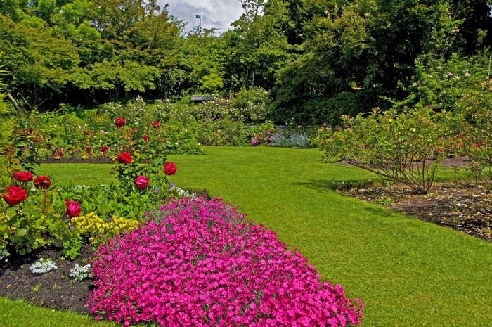 Queen Elizabeth Garden in Vancouver, Canada with Roses and Carnations