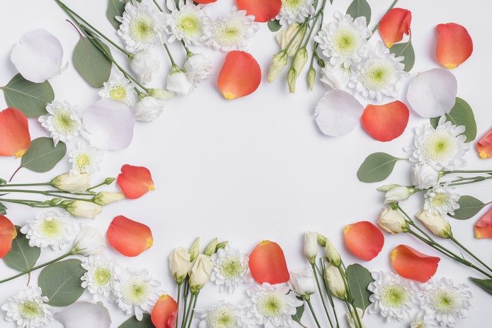 Chrysanthemums and Eustoma flowers with petals on white background