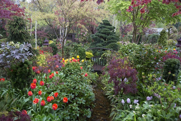 Walsall Garden in England with Tulips and Shrubs