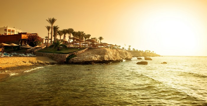 4K Red Sea Coast with Palm Trees and Rocky Outcrop