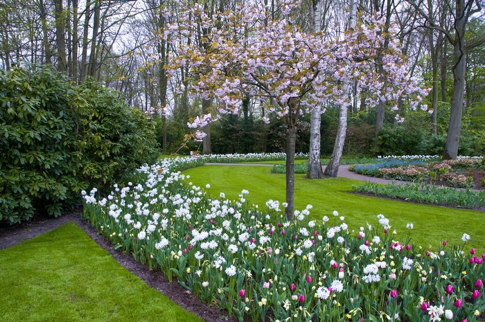 Keukenhof Gardens in Lisse, Netherlands with Spring Flowers