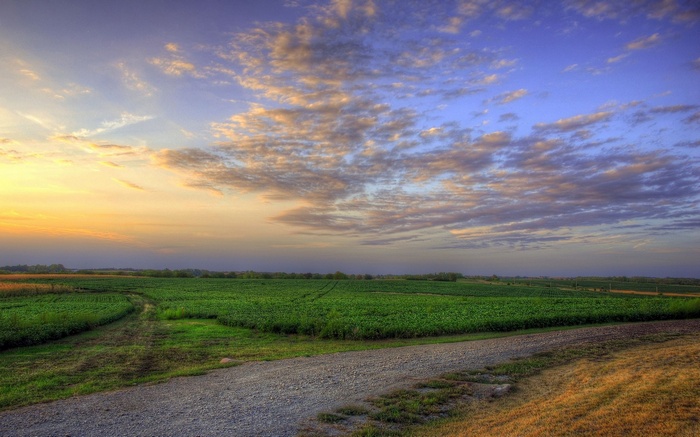 Sunset over a rural landscape with fields and clouds