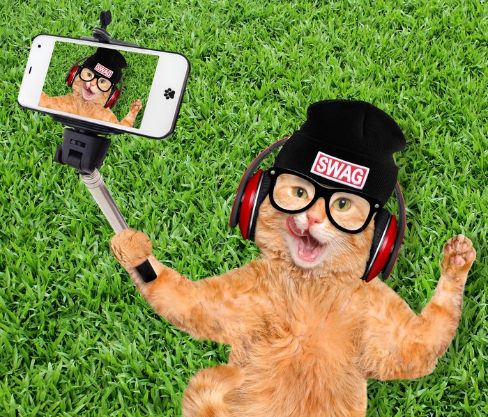 Ginger cat wearing headphones and glasses takes a selfie