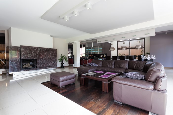 Modern Living Room with Leather Sofa and Fireplace