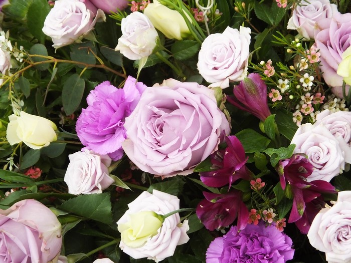 Purple and pink roses with alstroemeria and carnations