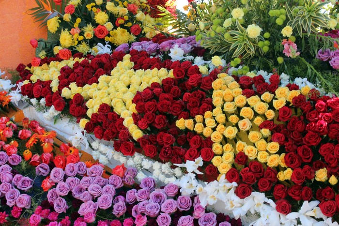 Pasadena Rose Parade Float Design