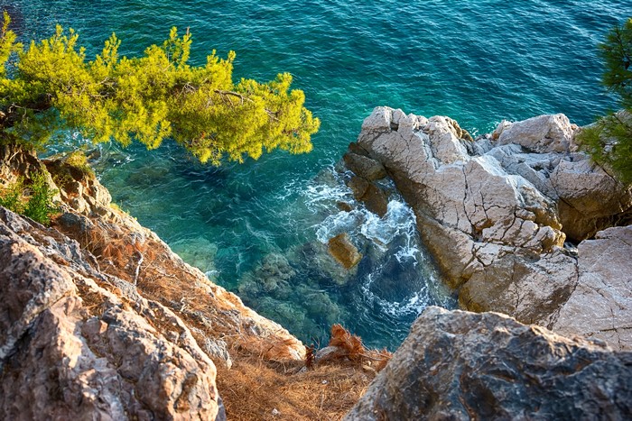 Rocky coast with turquoise water and pine tree