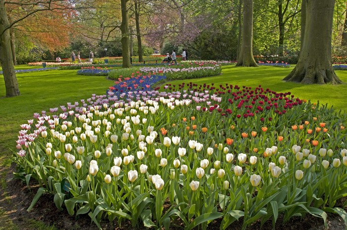 Keukenhof Gardens in Lisse, Netherlands with colorful tulips