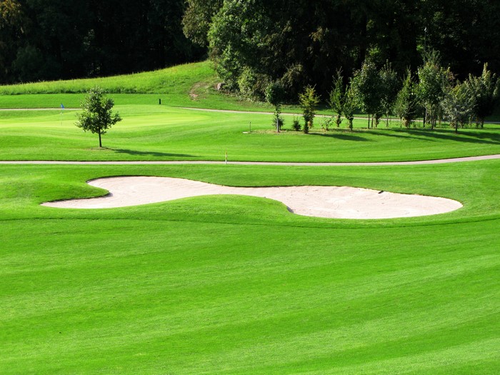 Golf course with sand trap and trees