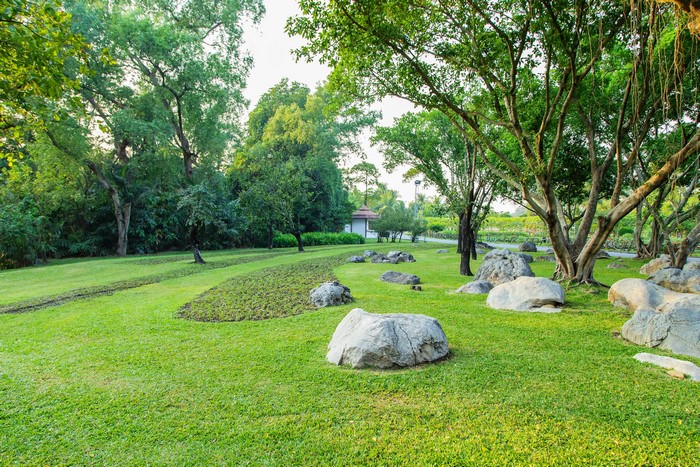 Suan Luang Park, Thailand with trees and rocks