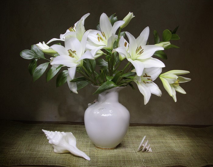 White lilies in a vase with seashells