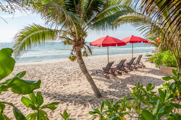 Beach with palm trees, sunloungers, and red umbrellas