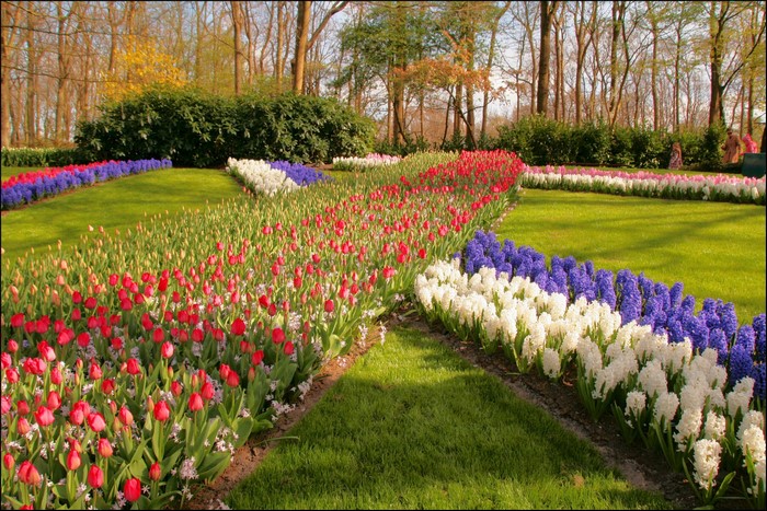 Keukenhof Gardens in the Netherlands with Tulips and Hyacinths