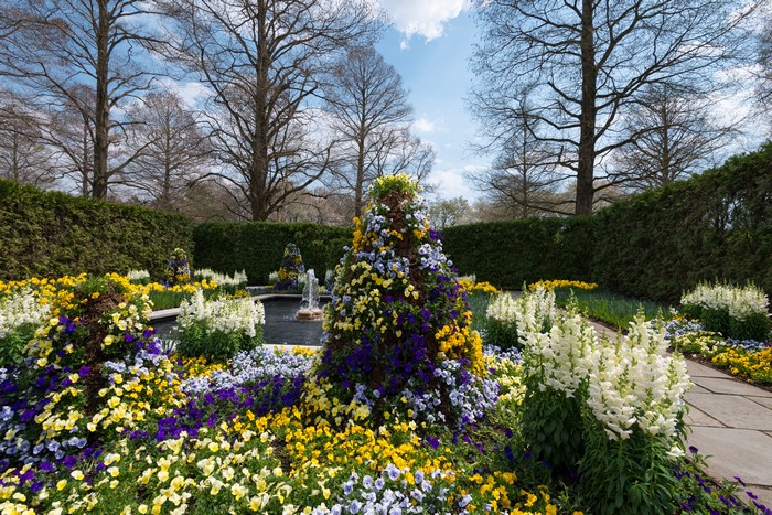 Longwood Gardens Kennett Square USA Pansies Gladioluses Design Shrubs