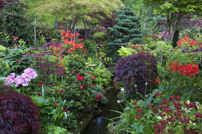 Beautiful garden with a stream and bridge in England