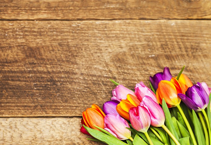 Tulips on Wood Planks