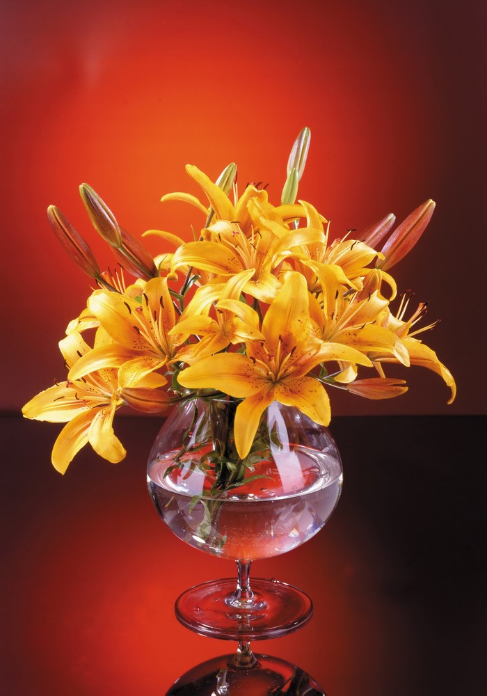 Yellow lilies in a glass vase