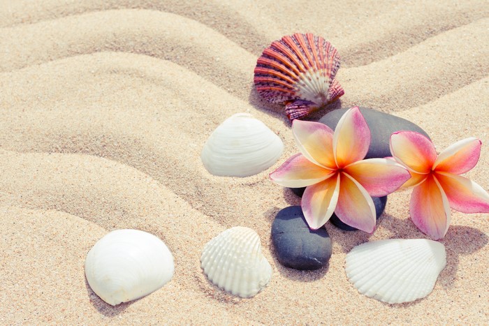 Shells and Plumeria flowers on sand