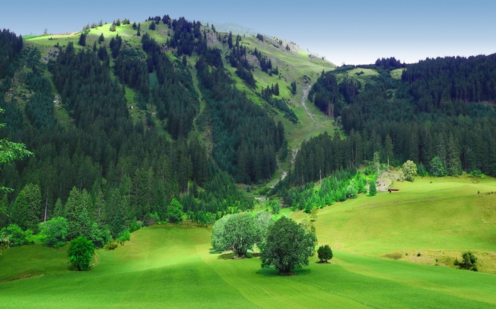 Green mountain landscape with trees and sky