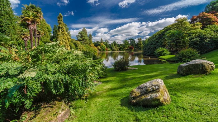 Sheffield Park Garden Pond with Stones and Shrubs