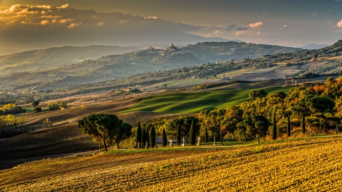 Tuscany Scenery with Fields and Trees