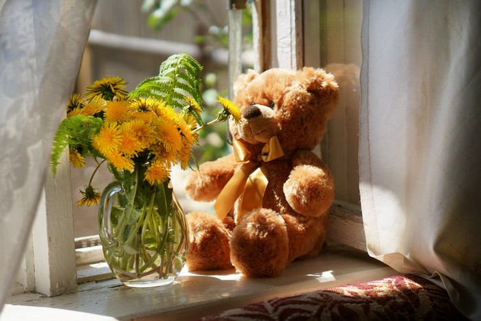 Teddy bear with dandelions on a windowsill
