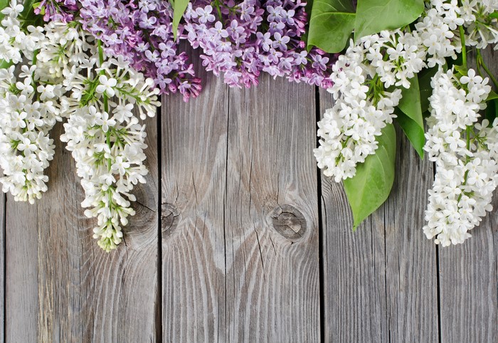 Lilac flowers on wooden planks