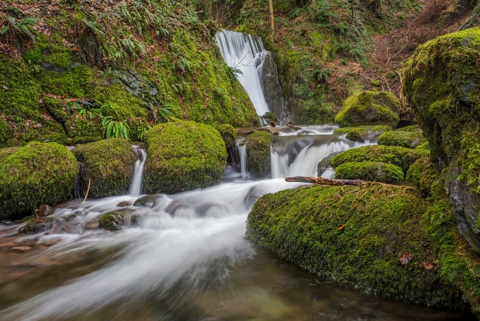 Waterfall in Mossy Forest, Clackmannanshire, Scotland